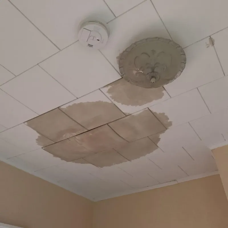 Ceiling Water Damage Repair in Chatham, VA