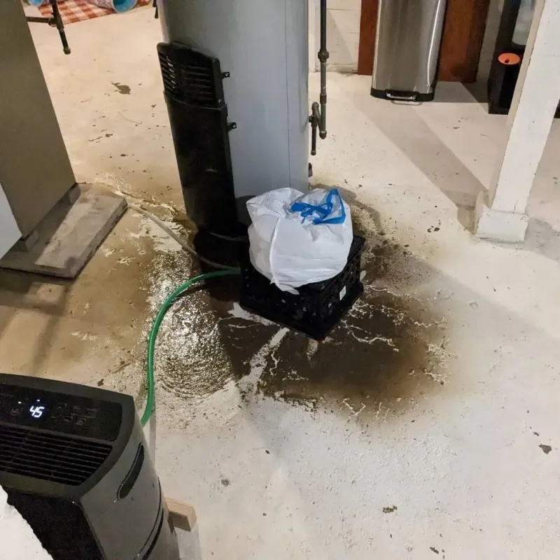 Sewage Backup Cleanup Service in Chatham, VA